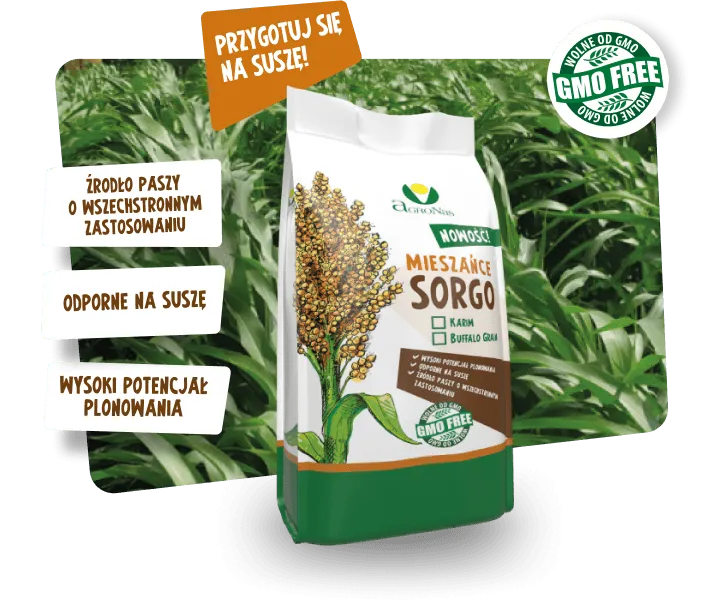 Sorgo Karim