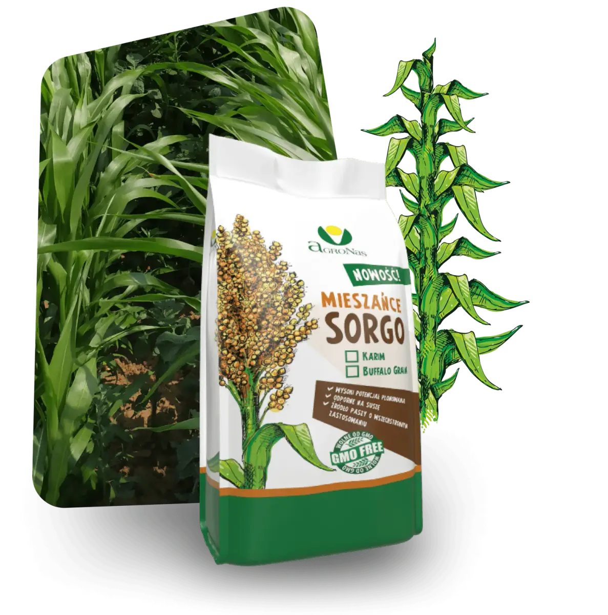 Sorgo Karim – opakowanie i rośliny
